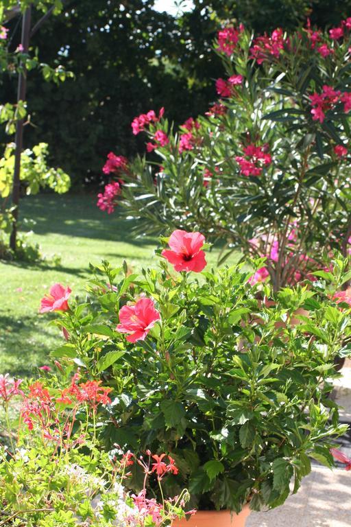 Le Petit Caboulot En Pleine Nature Vaumeilh ภายนอก รูปภาพ