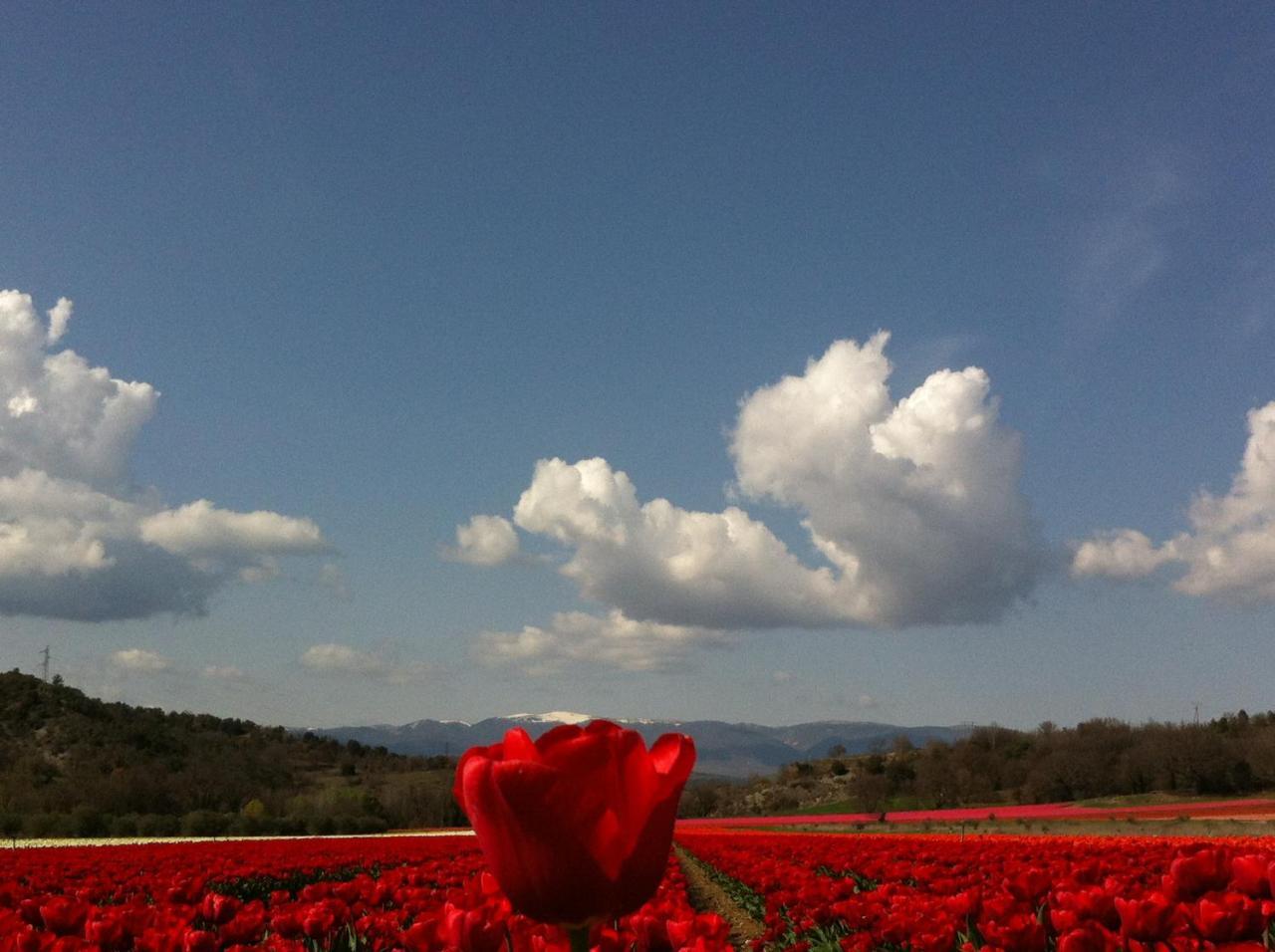 Le Petit Caboulot En Pleine Nature Vaumeilh ภายนอก รูปภาพ