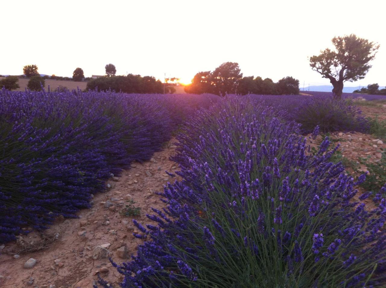 Le Petit Caboulot En Pleine Nature Vaumeilh ภายนอก รูปภาพ